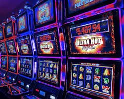 677bet
